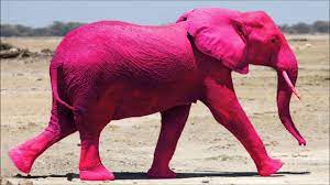 Wanna Be Skittles (Pink Elephant)